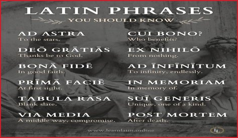 A Profile Of A Latin Beauty